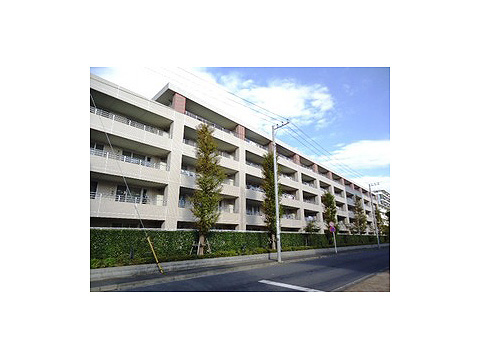 現地外観写真 外観