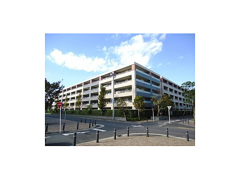 現地外観写真 外観