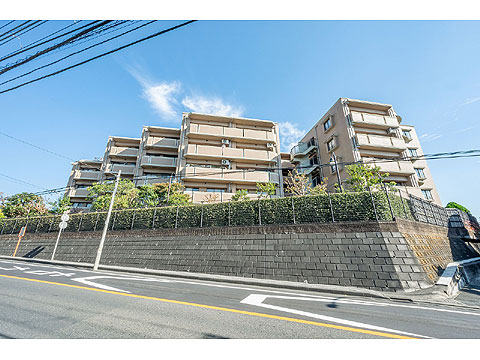 現地外観写真 外観2