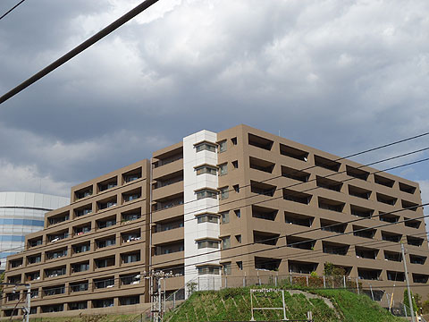 現地外観写真 外観