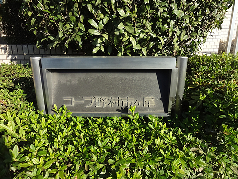 その他共用部　写真1