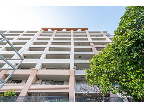 現地外観写真 外観 見上げ