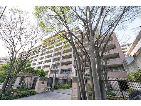 エントランス 南側外観