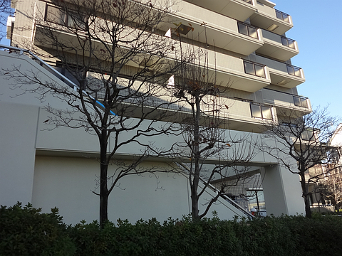 その他共用部　外観2