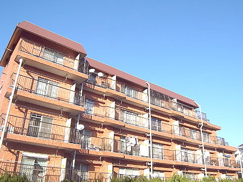 現地外観写真　外観２