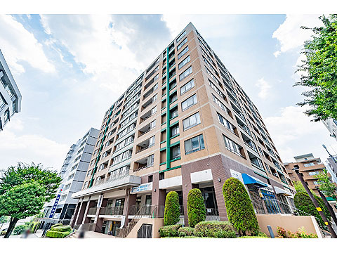 現地外観写真 外観