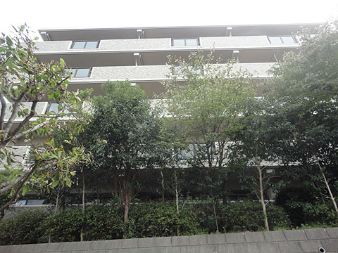 その他共用部　外観３