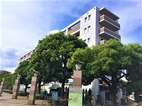 現地外観写真 地上6階建