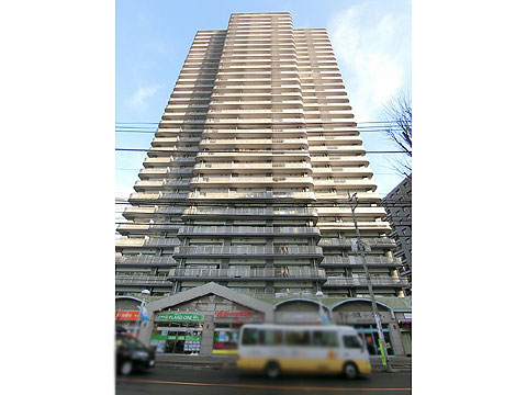 現地外観写真 外観(15)