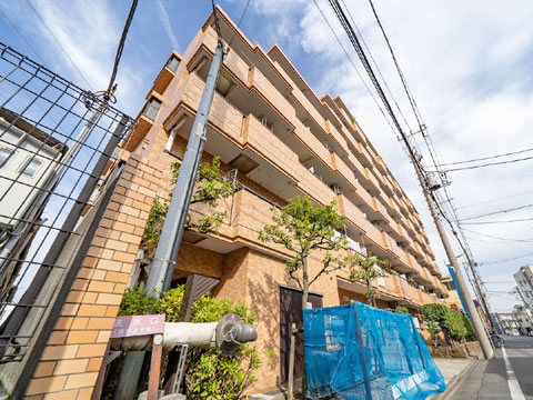 現地外観写真 ライオンズガーデン川崎