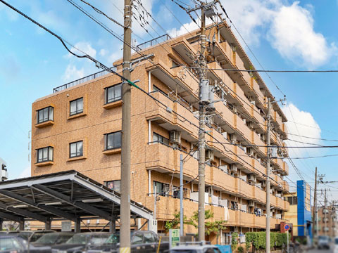 現地外観写真 ライオンズガーデン川崎