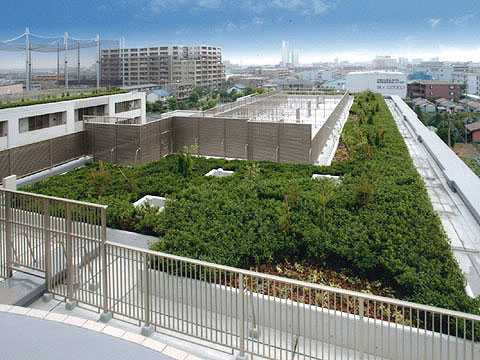 その他共用部　屋上緑化