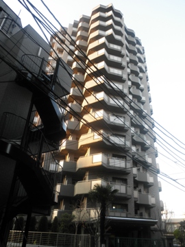 現地外観写真 マンション外観