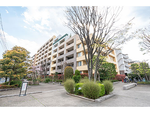 現地外観写真 外観