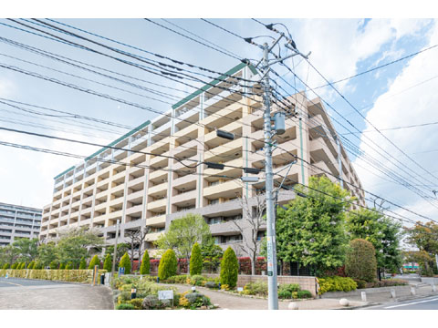 現地外観写真 外観