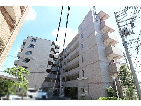 現地外観写真 外観