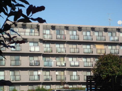 現地外観写真　外観