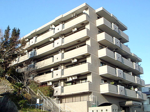 現地外観写真 外観