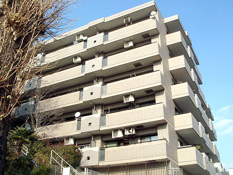 現地外観写真 外観