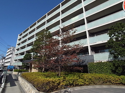 現地外観写真　南外観