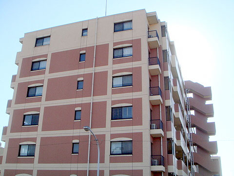 現地外観写真 外観