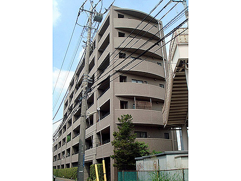 現地外観写真 外観