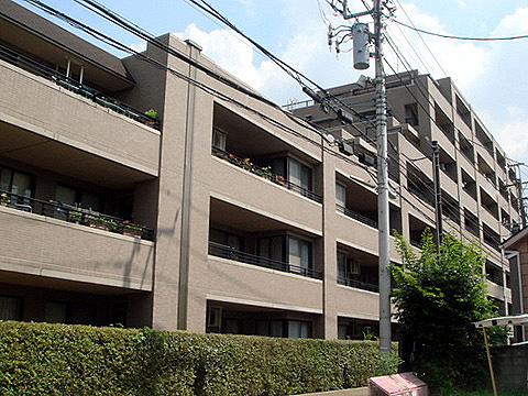 現地外観写真 外観