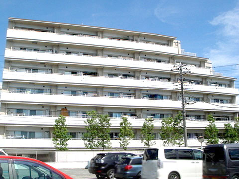 現地外観写真 外観