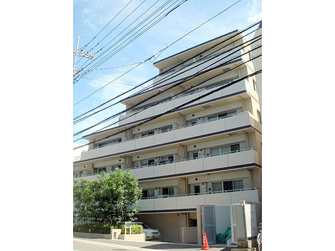 現地外観写真 外観