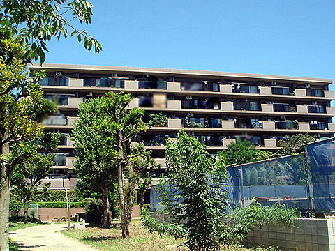 現地外観写真 外観