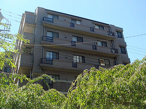 現地外観写真 外観