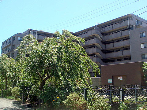 現地外観写真 外観