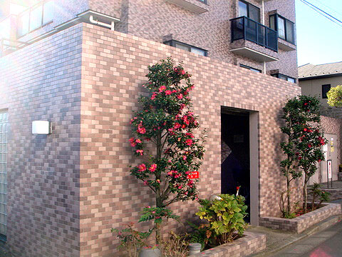 現地外観写真 写真