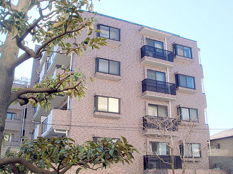 現地外観写真 外観