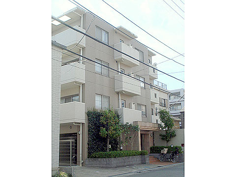 現地外観写真 外観