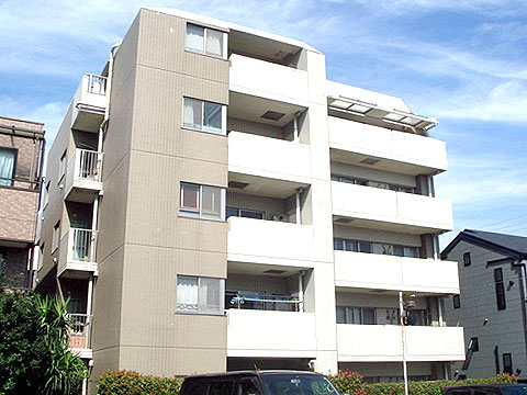 現地外観写真 外観