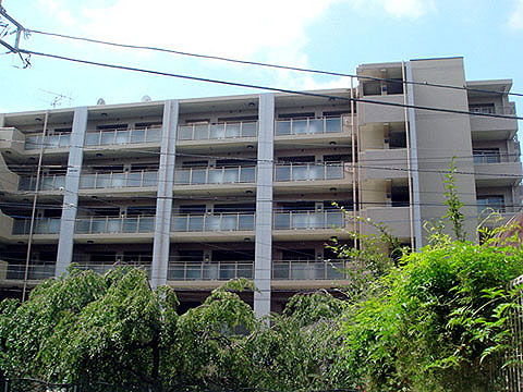 現地外観写真 外観