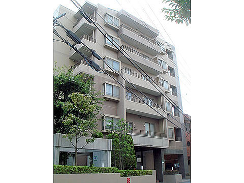 現地外観写真 外観