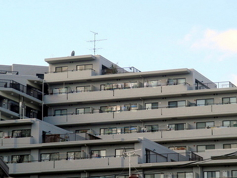 現地外観写真 外観