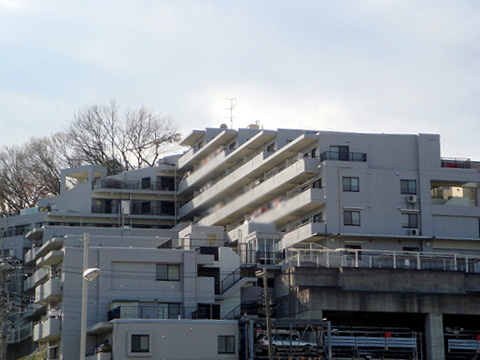 現地外観写真 外観