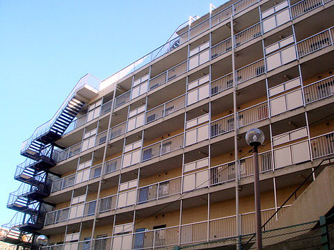 現地外観写真 外観