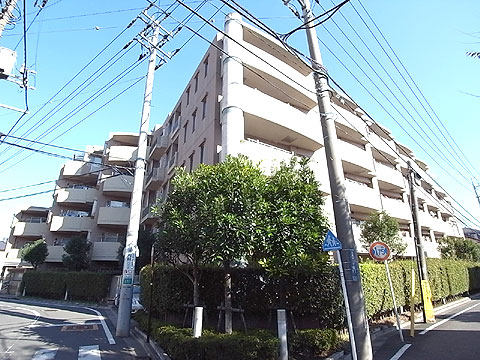 現地外観写真 外観