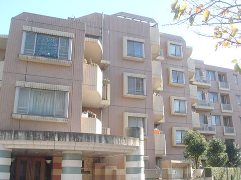 現地外観写真 外観