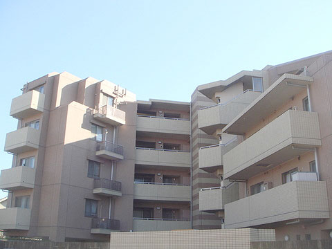 現地外観写真 外観