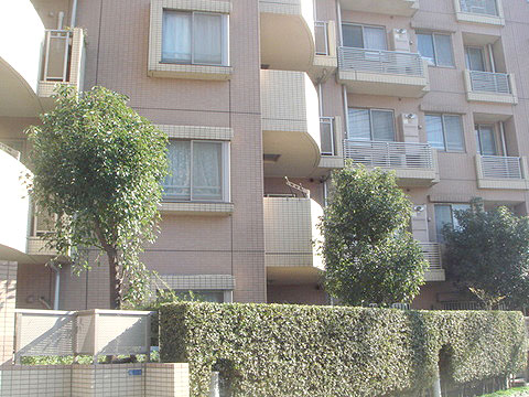 現地外観写真 外観