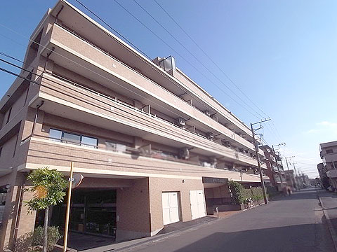 現地外観写真 外観