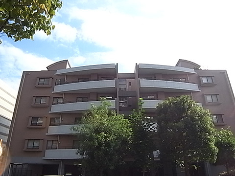 現地外観写真 外観