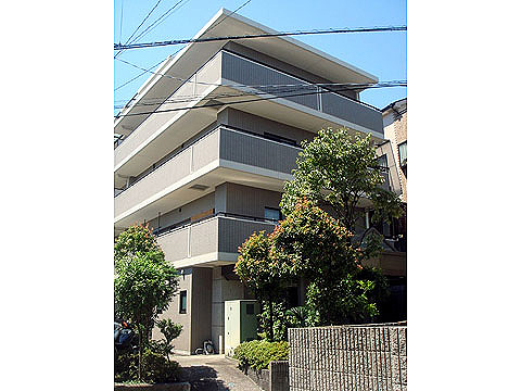 現地外観写真 外観