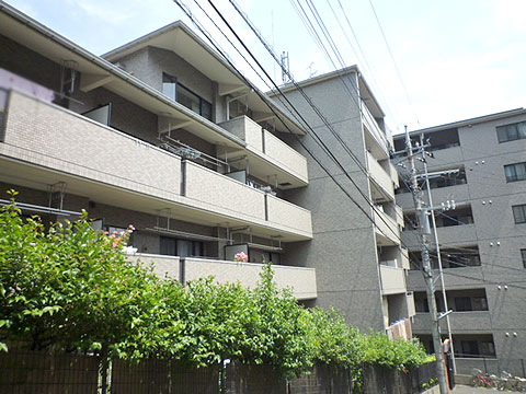 現地外観写真 外観