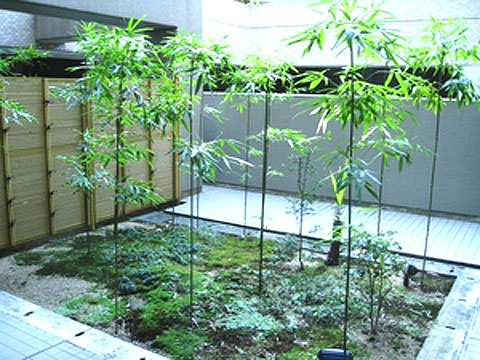 その他共用部 中庭